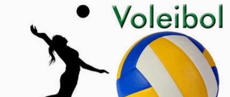 torneio